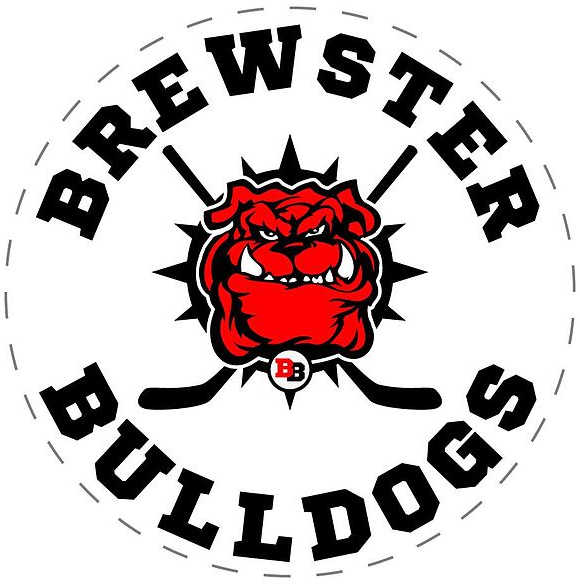 Brewster Bulldogs 2016 Primary Logo iron on heat transfer